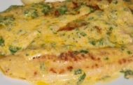 Cherne estufado em creme 