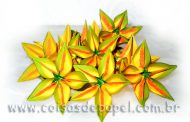 ESTRELAS DE CARAMBOLA