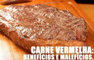 Estrogonofe de Carne Bovina ou de Veado