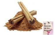 Canela ( Cinnamomum zeylanicum )