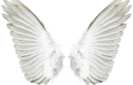 Asas de Anjo