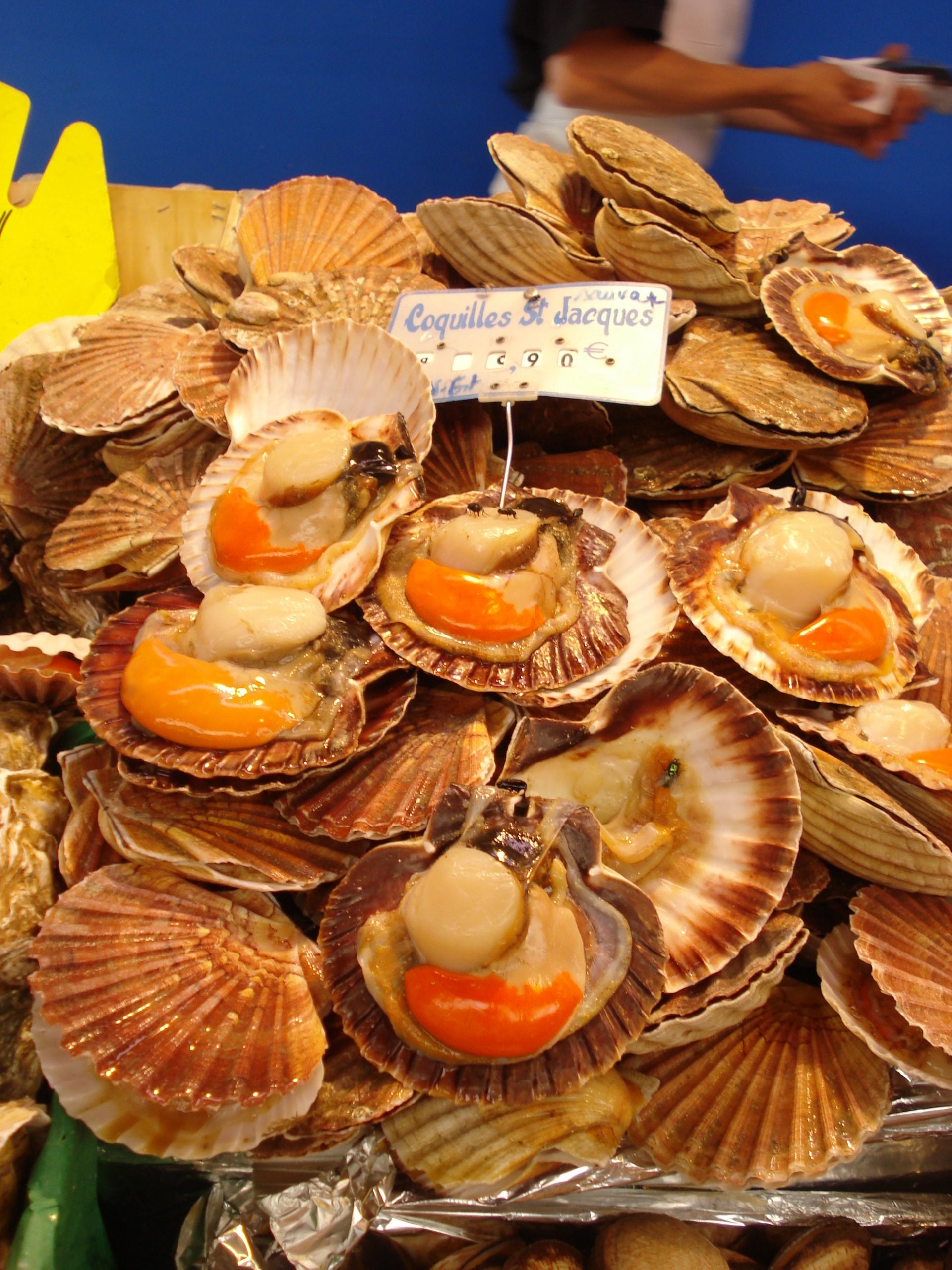Coquilles St. Jacques 