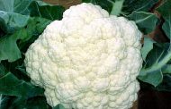 Couve-flor com substância