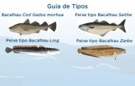  Como identificar o bacalhau tipo code ou porto 