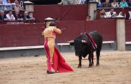 Matador